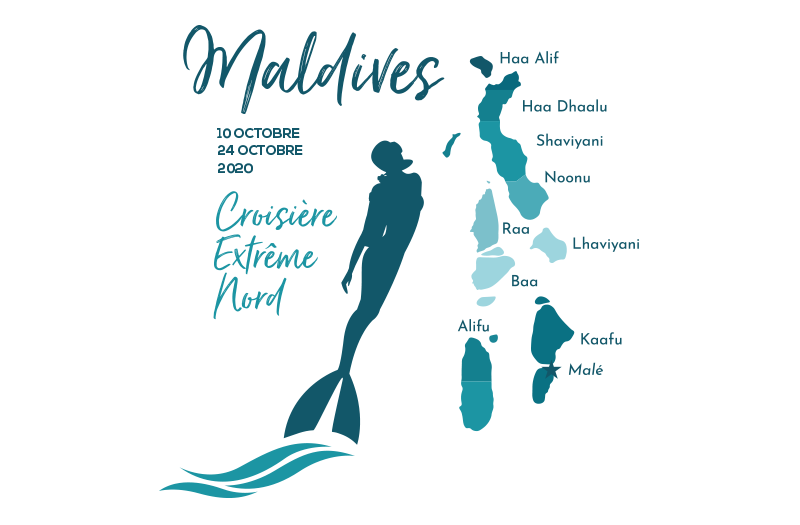 Illustration avec plongeur et iles des Maldives